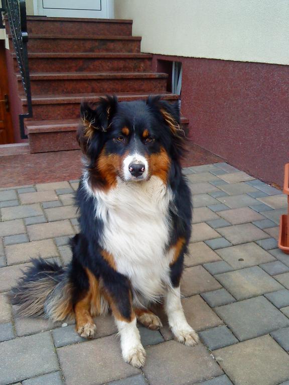 Ferienwohnung Am Storchennest Schmogrow Екстериор снимка