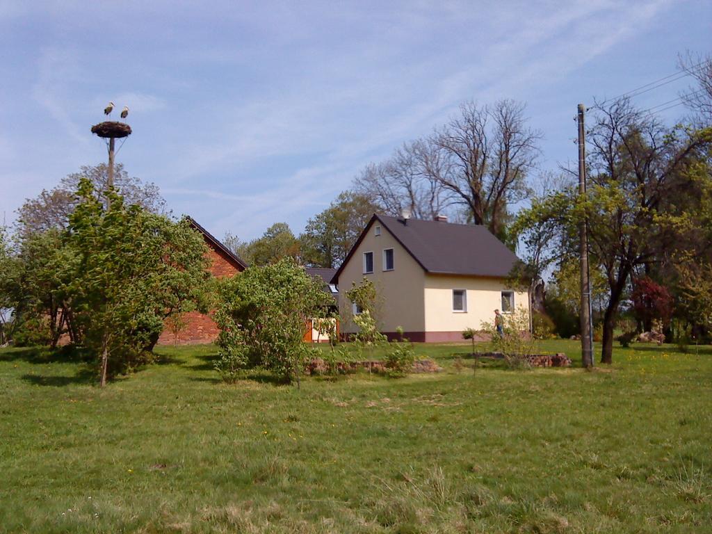 Ferienwohnung Am Storchennest Schmogrow Екстериор снимка